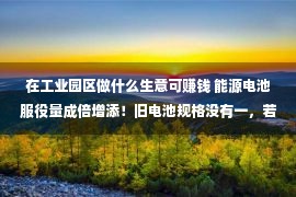 在工业园区做什么生意可赚钱 能源电池服役量成倍增添！旧电池规格没有一，若何束缚“接收难”？