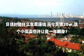 负债时做什么生意赚钱 而今负债20w,这个小买卖也许让我一年翻身？