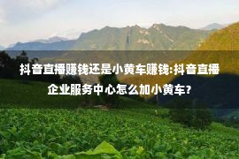 抖音直播赚钱还是小黄车赚钱:抖音直播企业服务中心怎么加小黄车？