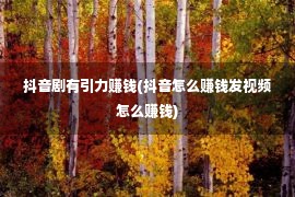 抖音剧有引力赚钱(抖音怎么赚钱发视频怎么赚钱)