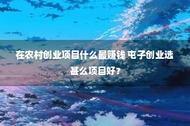 在农村创业项目什么最赚钱 屯子创业选甚么项目好？