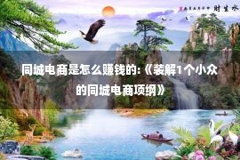 同城电商是怎么赚钱的:《装解1个小众的同城电商项纲》