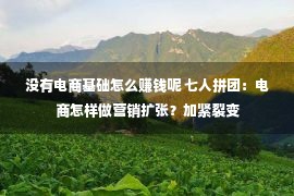 没有电商基础怎么赚钱呢 七人拼团：电商怎样做营销扩张？加紧裂变