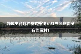 跨境电商哪种模式赚钱 小红书究竟能没有能赢利？