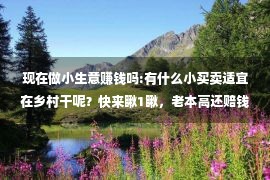 现在做小生意赚钱吗:有什么小买卖适宜在乡村干呢？快来瞅1瞅，老本高还赔钱快