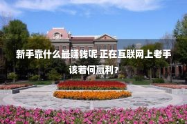 新手靠什么最赚钱呢 正在互联网上老手该若何赢利？