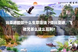 比亚迪能做什么生意赚钱 7倍比亚迪，飞驰凭甚么这么赢利？