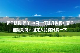 养羊赚钱 养羊50只一年赚几许钱？养羊能赢利吗？过来人给你分解一下