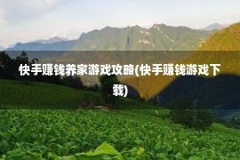 快手赚钱养家游戏攻略(快手赚钱游戏下载)