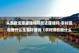 头条做生意赚钱吗现在还赚钱吗:农村现在做什么生意好赚钱（农村现在做什么生意赚钱）