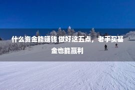 什么资金能赚钱 做好这五点，老手买基金也能赢利