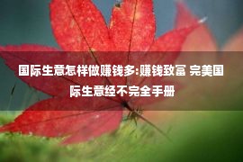 国际生意怎样做赚钱多:赚钱致富 完美国际生意经不完全手册