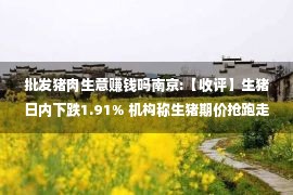 批发猪肉生意赚钱吗南京:【收评】生猪日内下跌1.91% 机构称生猪期价抢跑走预期