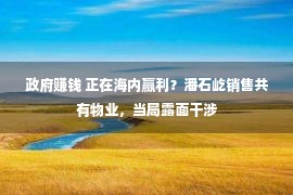 政府赚钱 正在海内赢利？潘石屹销售共有物业，当局露面干涉