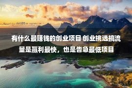 有什么最赚钱的创业项目 创业挑选搞流量是赢利最快，也是告急最低项目