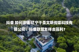 抖音 如何赚钱 辽宁千圣文明传媒科技有限公司：抖音联盟怎样去赢利？