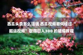 西瓜头条怎么赚钱 西瓜视频若何经过“搬运视频”取得日入300 的精细教程