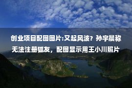 创业项目配图图片:又起风波？孙宇晨称无法注册狐友，配图显示用王小川照片当头像