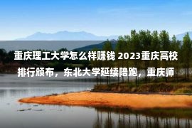 重庆理工大学怎么样赚钱 2023重庆高校排行颁布，东北大学延续陪跑，重庆师大理工不料遇冷