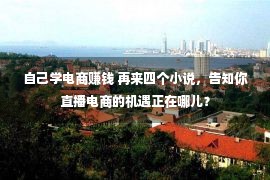 自己学电商赚钱 再来四个小说，告知你直播电商的机遇正在哪儿？