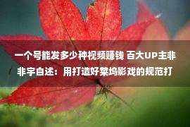 一个号能发多少种视频赚钱 百大UP主非非宇自述：用打造好莱坞影戏的规范打造短视频