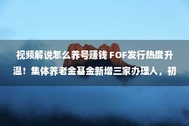 视频解说怎么养号赚钱 FOF发行热度升温！集体养老金基金新增三家办理人，初现赢利效应