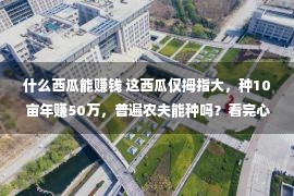 什么西瓜能赚钱 这西瓜仅拇指大，种10亩年赚50万，普遍农夫能种吗？看完心坎珍稀