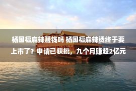 杨国福麻辣赚钱吗 杨国福麻辣烫终于要上市了？申请已获批，九个月赚超2亿元