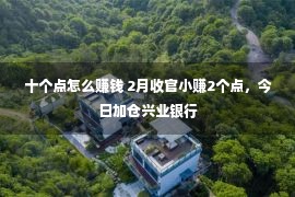 十个点怎么赚钱 2月收官小赚2个点，今日加仓兴业银行