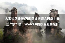 大家说区块链:万向区块链峰会圆桌丨春江“水”暖：Web3.0的投资趋势是什么？