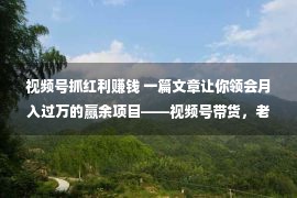 视频号抓红利赚钱 一篇文章让你领会月入过万的赢余项目——视频号带货，老手必看！