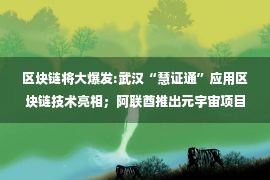 区块链将大爆发:武汉“慧证通”应用区块链技术亮相；阿联酋推出元宇宙项目2117