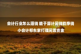 会计行业怎么赚钱 精于算计闲钱能挣钱 小会计帮东家打理闲置资金