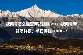 视频号怎么运营带货赚钱 2023视频号带货怎样做，单日佣钱1000+！