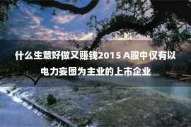 什么生意好做又赚钱2015 A股中仅有以电力妄图为主业的上市企业