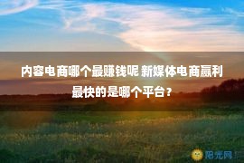 内容电商哪个最赚钱呢 新媒体电商赢利最快的是哪个平台？