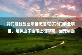 冷门赚钱创业项目代理 屯子冷门创业项目，这种虫子墟市上很罕有，当宠物卖稀奇赢利