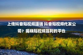 上传抖音短视频赚钱 抖音短视频代发公司？揭晓短视频赢利的平台