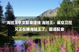 海贼王中文配音赚钱 海贼王：星空卫视又正在播海贼王了，国语配音