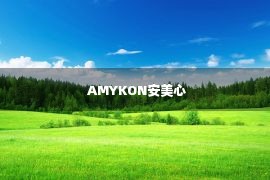  AMYKON安美心