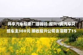 共享汽车报废厂赚钱吗:报兴1辆汽车只给车主300元 接收报兴公司含泪赔了1500