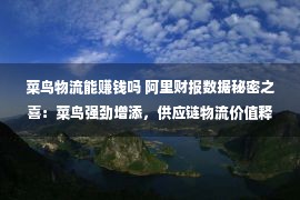 菜鸟物流能赚钱吗 阿里财报数据秘密之喜：菜鸟强劲增添，供应链物流价值释放