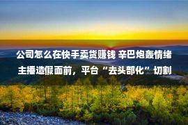 公司怎么在快手卖货赚钱 辛巴炮轰情绪主播造假面前，平台“去头部化”切割好处蛋糕