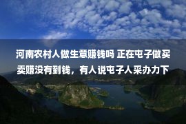 河南农村人做生意赚钱吗 正在屯子做买卖赚没有到钱，有人说屯子人采办力下降，真的是这样吗？