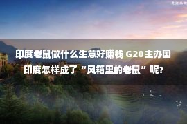 印度老鼠做什么生意好赚钱 G20主办国印度怎样成了“风箱里的老鼠”呢？