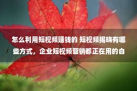 怎么利用短视频赚钱的 短视频揭晓有哪些方式，企业短视频营销都正在用的自媒体器械