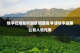 快手视频如何放歌词赚钱 申请快手直播公会入驻代庖