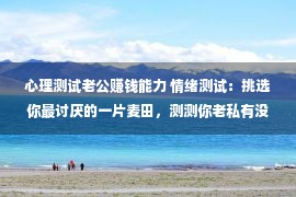 心理测试老公赚钱能力 情绪测试：挑选你最讨厌的一片麦田，测测你老私有没有发家的才略