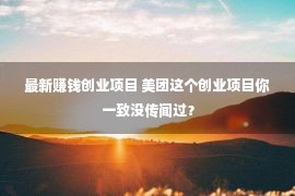 最新赚钱创业项目 美团这个创业项目你一致没传闻过？