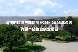 赚钱的轻资产加盟创业项目 2023年必火的四个轻物业创业项目